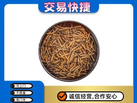 那曲回收散虫草